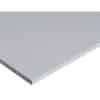 Fermacell gipsvezelplaat 10mm - 1200x600mm